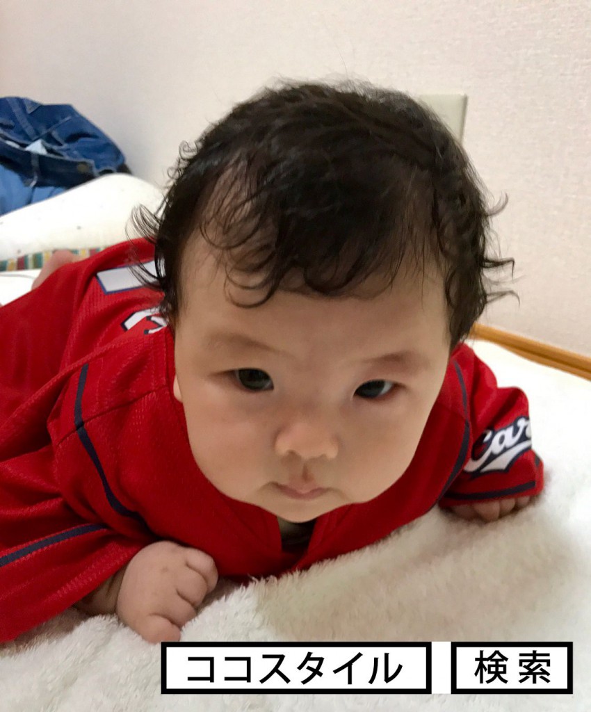 サムネイル画像